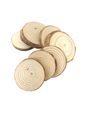 1/4&quot; Poplar Coins 10 Pack by Cheep Thrills Bird Toys