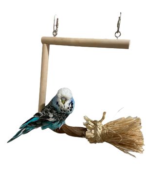 Weirdo's Sacred Space Swinging Broomstick by Feathered Addictions