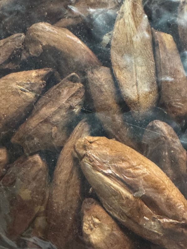 8 oz RAW Pili Nut Kernels with Skin - Good for all Birds