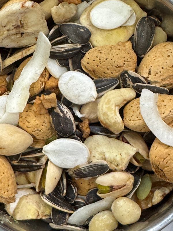 5 Lb Parrot Gourmet Fusion Mix - Medium and Large Bird