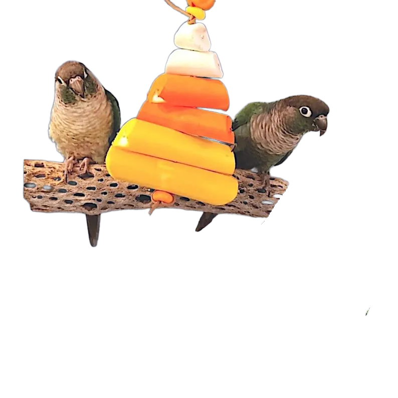 Candy Corn Sola Softie by Peter Piper Parrots - Limited Edition