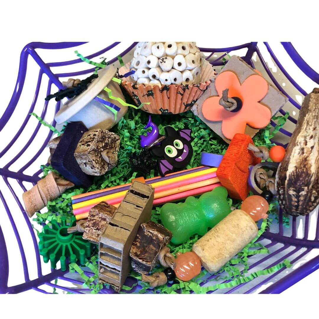 Halloween Web Basket Full of Foot Toys by PDS Parrot Toys