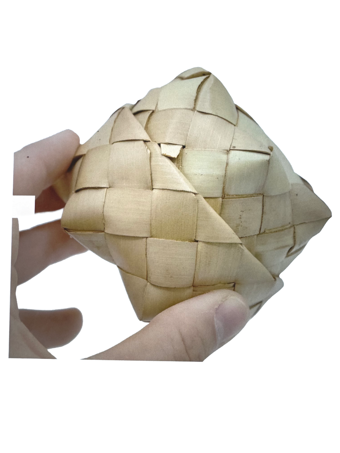 Spiky Box Foot Talon Toy by Bonka Bird Toys