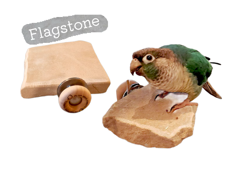 Flagstone Platform Perch by Peter Piper Parrots