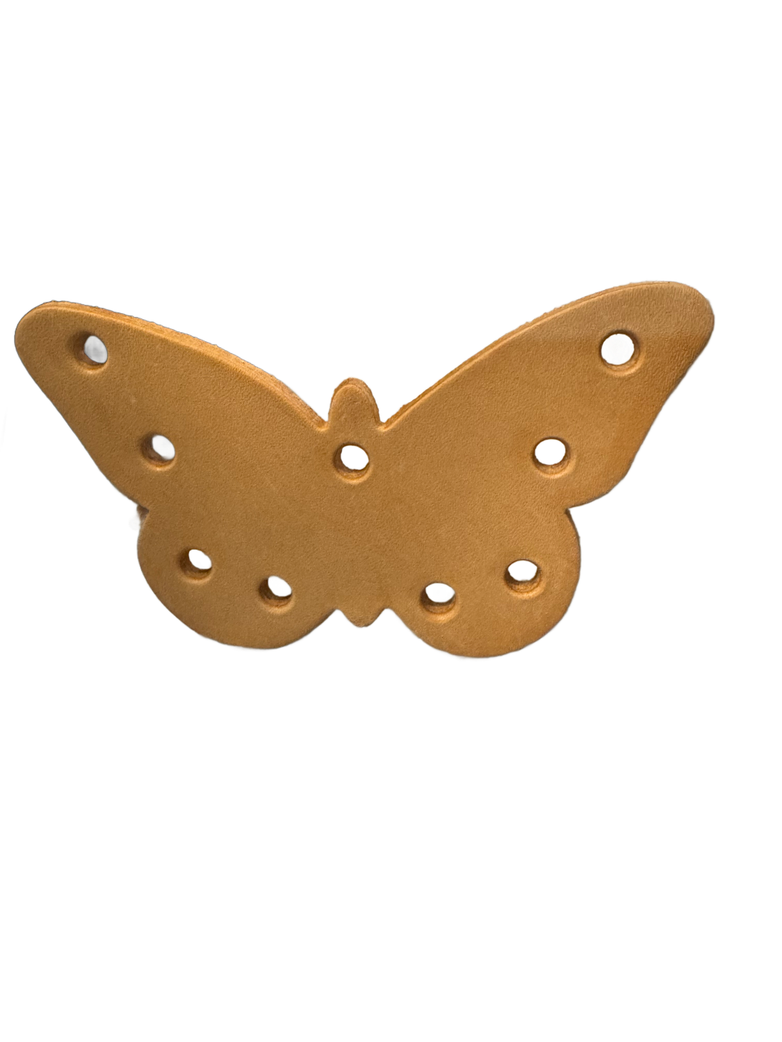 Leather Butterfly