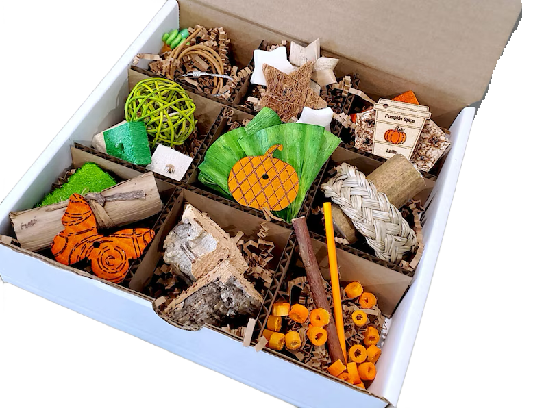 Pumpkin Patch Discovery Box NEW Theme by Peter Piper Parrots -- Limited Edition