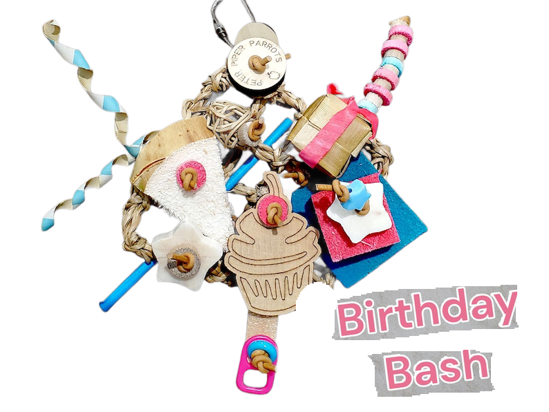 Birthday Bash 4&quot;x4&quot; Mat Shredder by Peter Piper Parrots - Limited Edition
