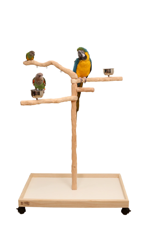 The Perfect Tree for Medium Birds and many Large Birds - by Parrot Wizard