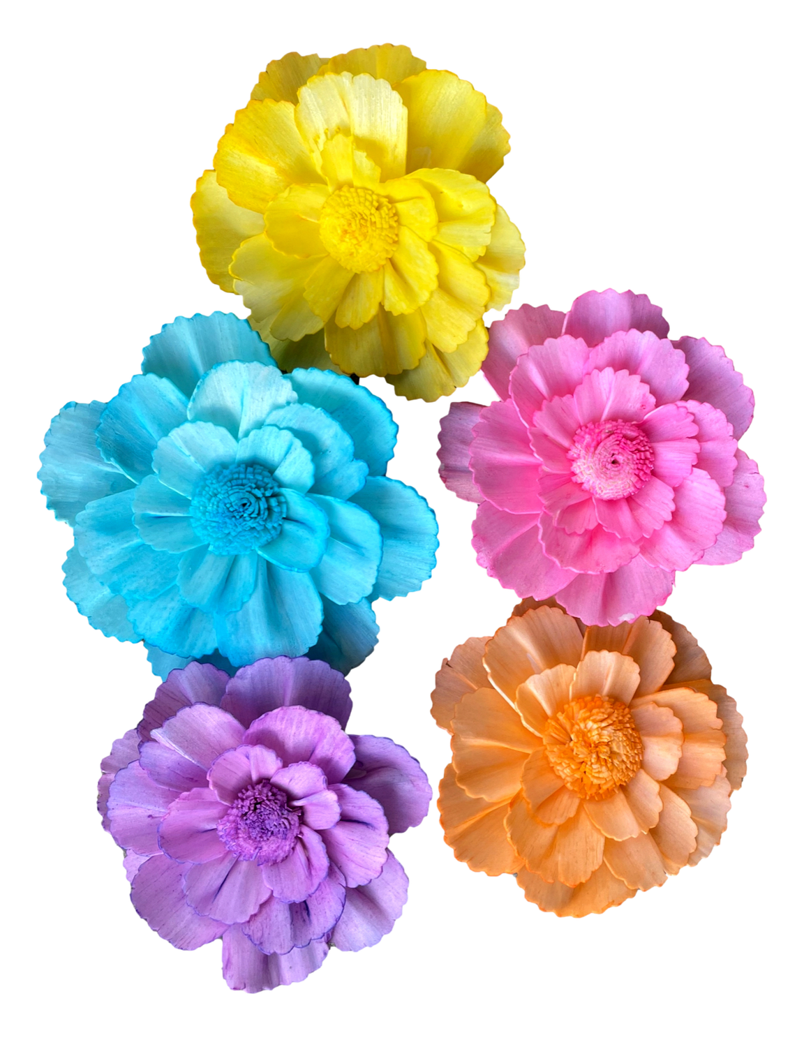 5 Pack Frantically Flowing Large Flower by Feathered Addictions