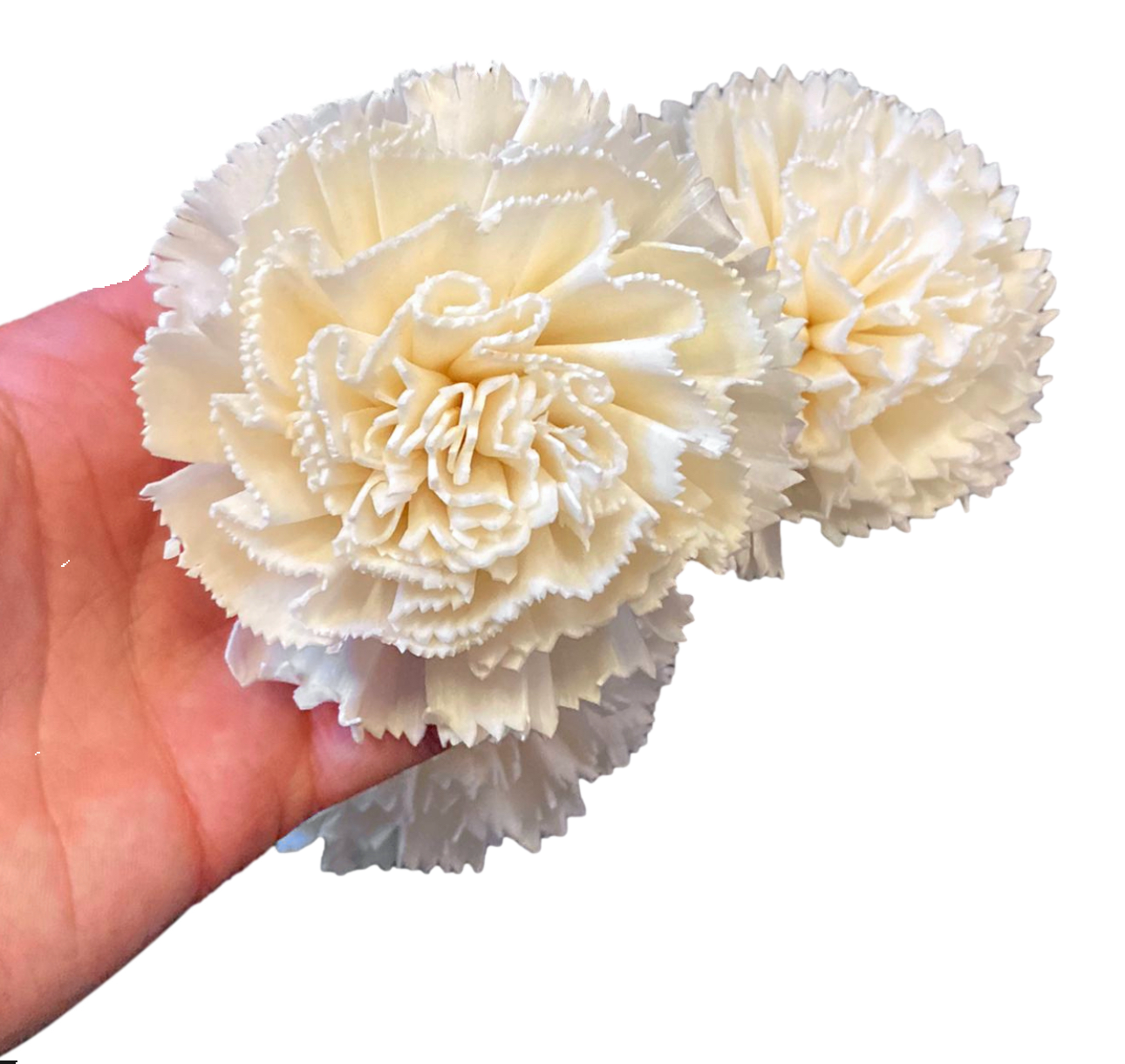 2 Pack Sola Carnation Large Flower by Feathered Addictions