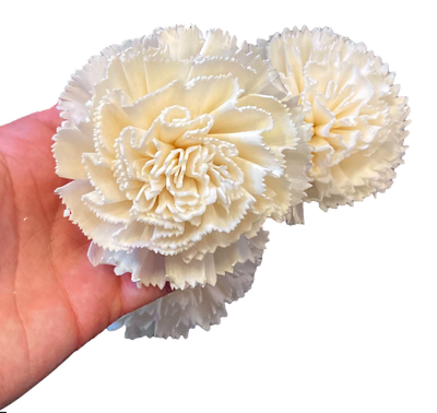 2 Pack Sola Carnation Large Flower by Feathered Addictions