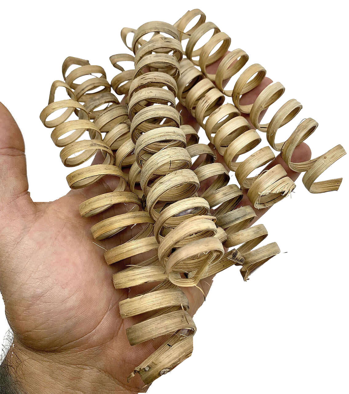 Bamboo 7 inch Springs - Excellent to fill in the foraging flats, toy buckets or add to foraging toys.