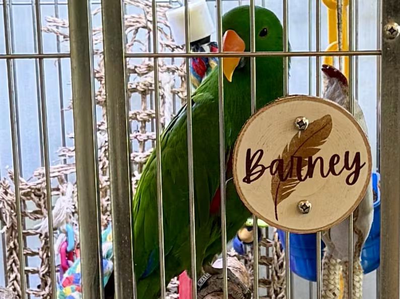 Personalized Birch Wood Parrot Cage Sign by The Modern Parrot