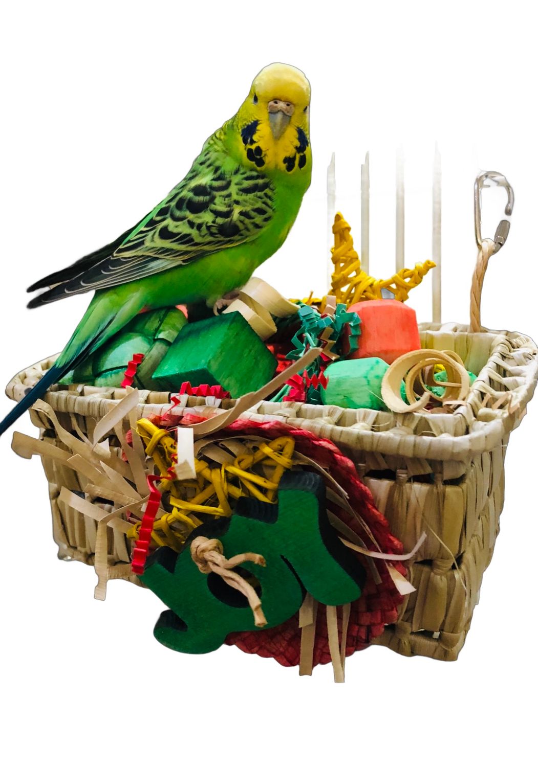 Joy Foraging Basket - Bigger Size by Feathered Addictions