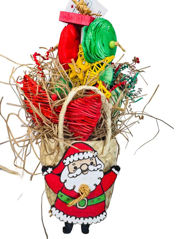 Santa is Ready for Delivery by Feathered Addictions