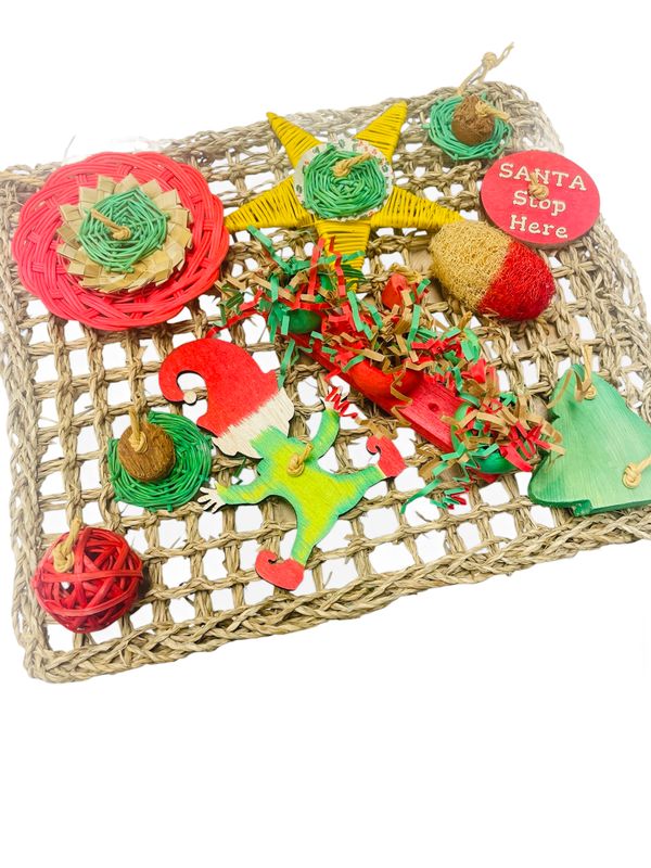 Almost Missed the Delivery Play Mat by Feathered Addictions