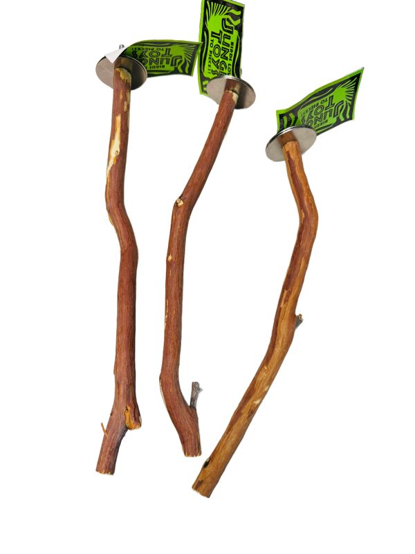 Ribbonwood Perch - Small ~ 1/2&quot; diameter x ~ 10&quot; with Stainless Steel Bolt on Hardward by Jungle Toys