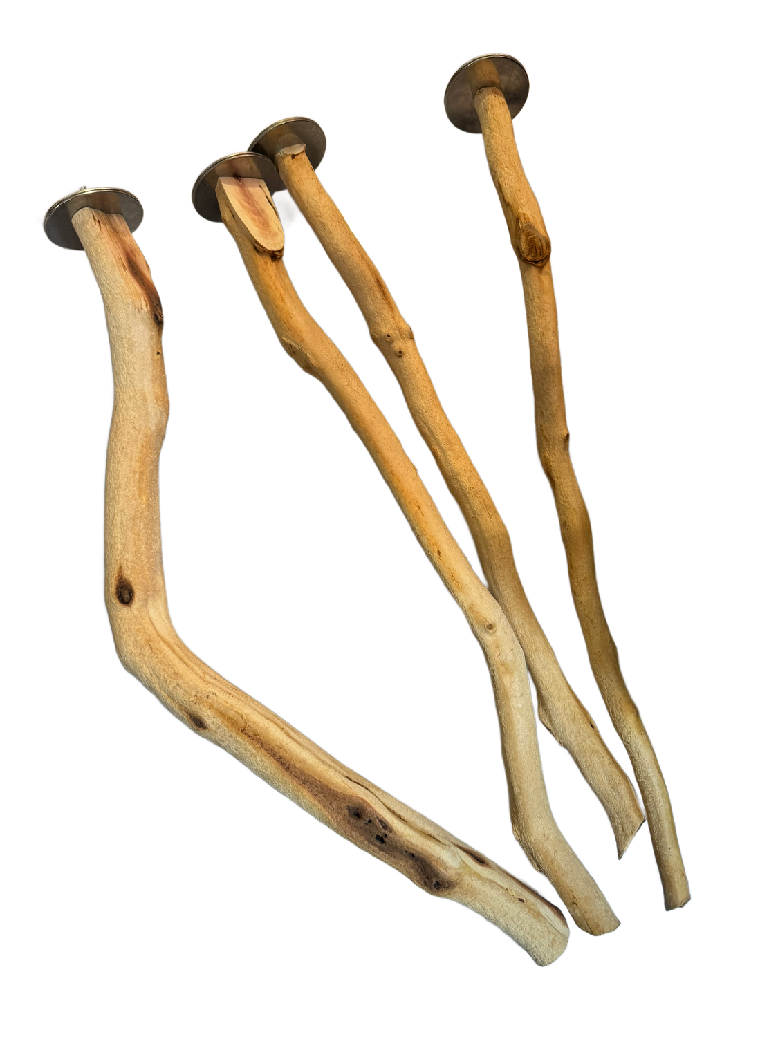 Bolt-on Manzanita perch for small to medium size birds ~18" long