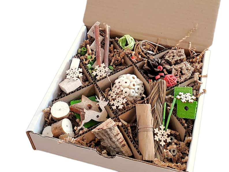 Winter in the Woods Discovery Box NEW Theme by Peter Piper Parrots -- Limited Edition