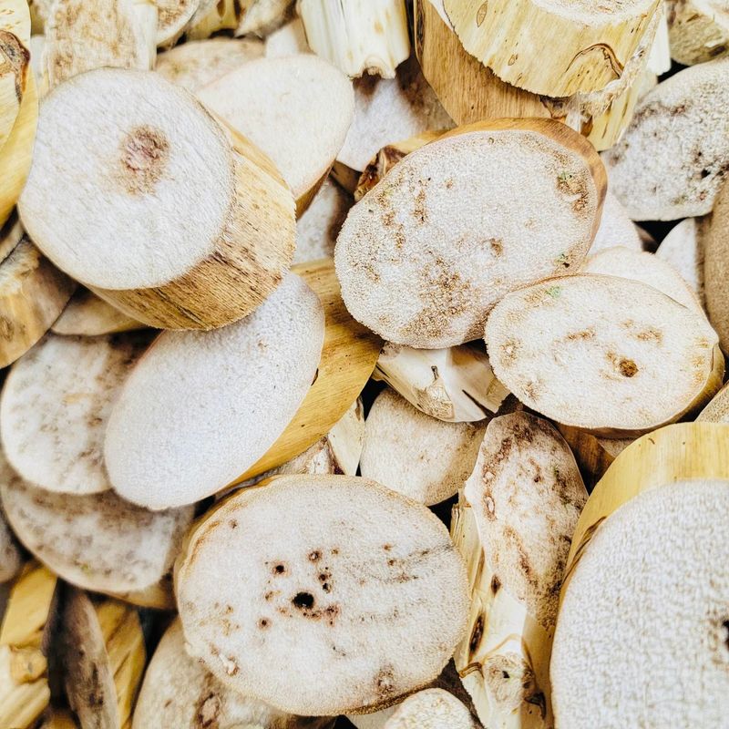 Small Yucca Slices - 20 Pack