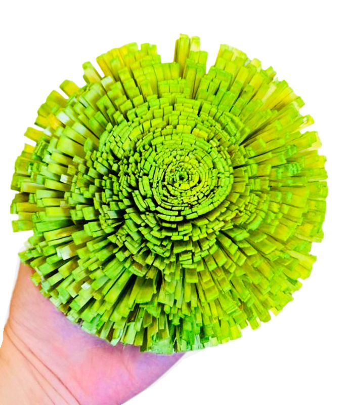 Colored Sola Bloomin&#39; Onion - 4&quot; by Feathered Addictions