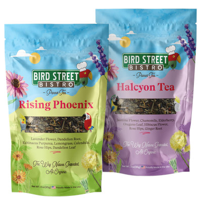 PARROT TEA Combo 2 Pack 100% Organic, human grade healing herbs by Bird Street Bistro