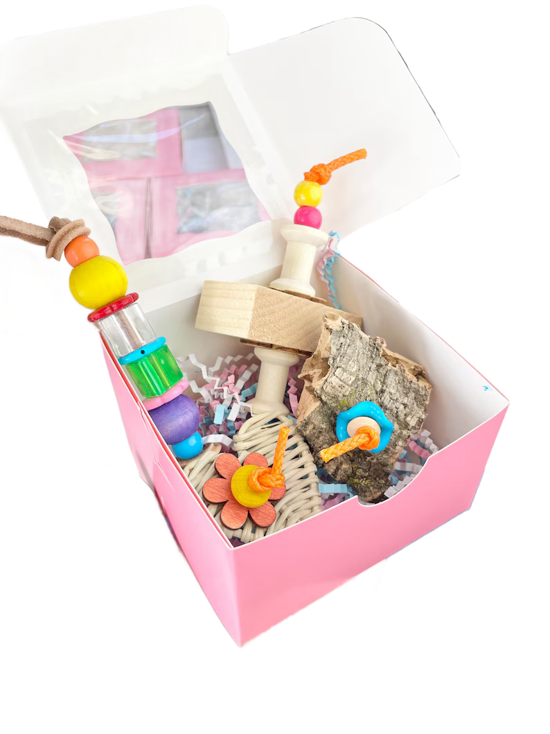 Foot Toy Box for Small to Medium Birds by Pirate's Beak