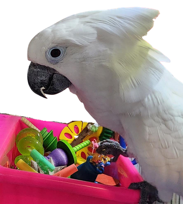 GIANT Hot Pink Foot Toy Bucket | Large Parrot (hardware included to attach inside or outside of your birds enclosure)