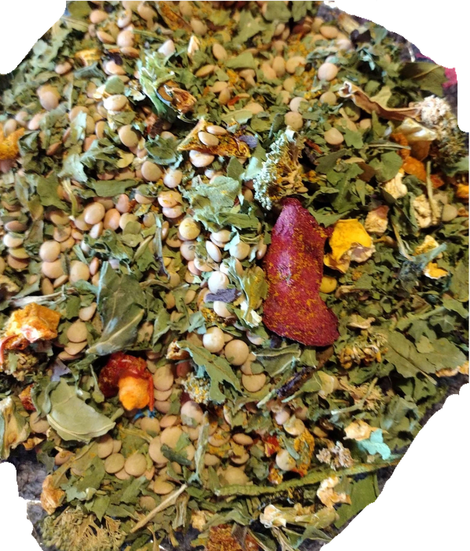 Lentils &amp; Veggies Small Size about 10 oz by Finleys Exotic Treats