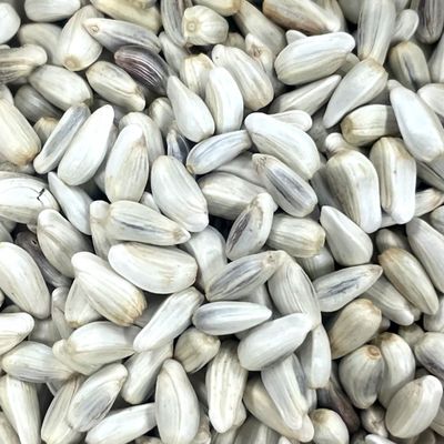 Safflower Power! Seed Treat 1/2 lb. by China Prairie