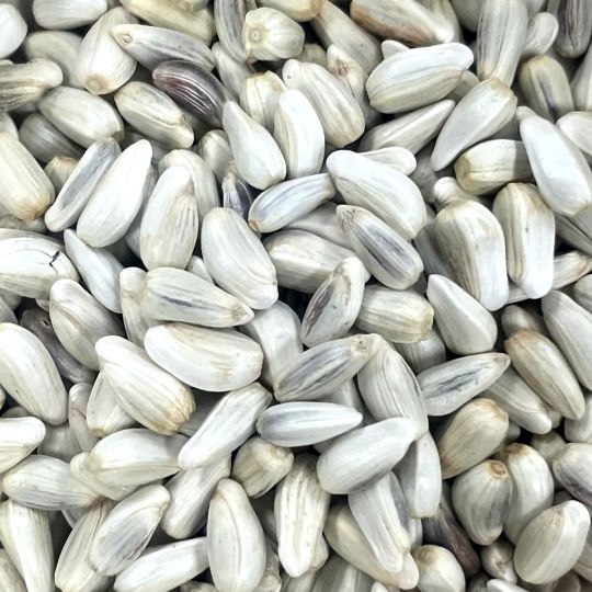 Safflower Power! Seed Treat 1/2 lb. by China Prairie