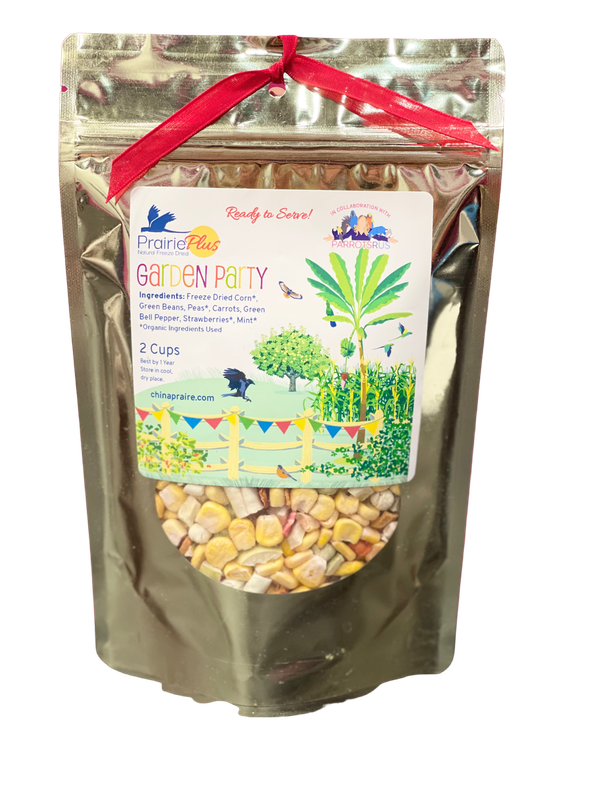 Garden Party! (Suitable for Large or Small Birds) 2 Cups Freeze Dried Veggies