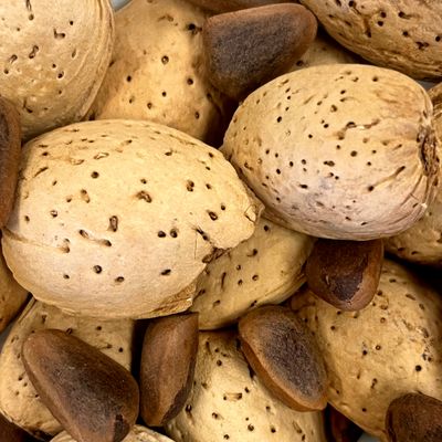 Work-it! - 1 Lb In Shell Pine Nuts and In Shell Almonds mixed by China Prairie