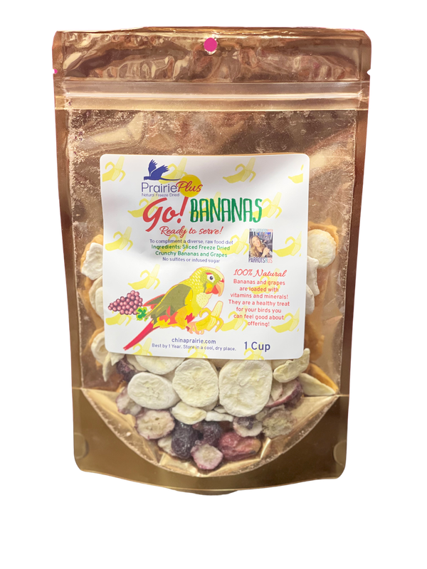 Freeze Dried Go! Bananas from China Prairie