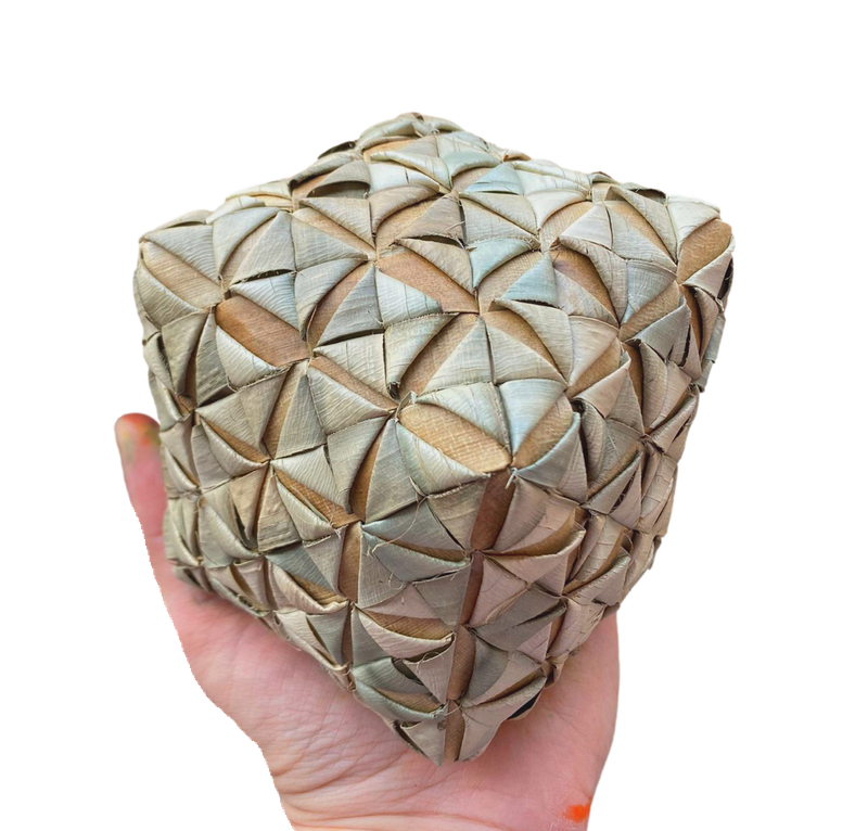 Bigger Fancy Dancy Palm Cube 4" by Feathered Addictions