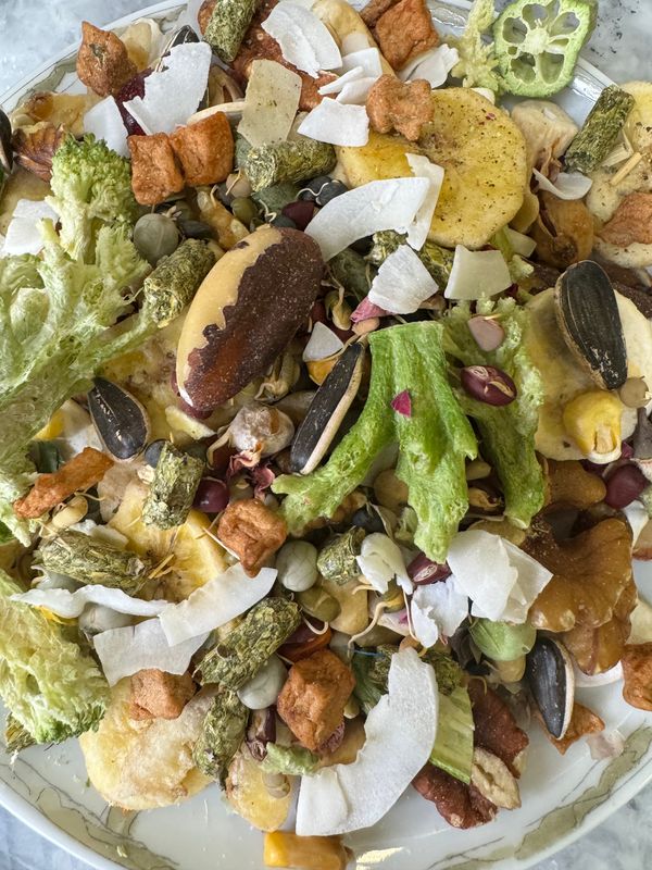 Special Large Parrot Dry Meal PLUS Bean Sprouts, TOPs Pellets and Fruit - Large Bird, especially Macaws, Cockatoos -- They are going to LOVE this!