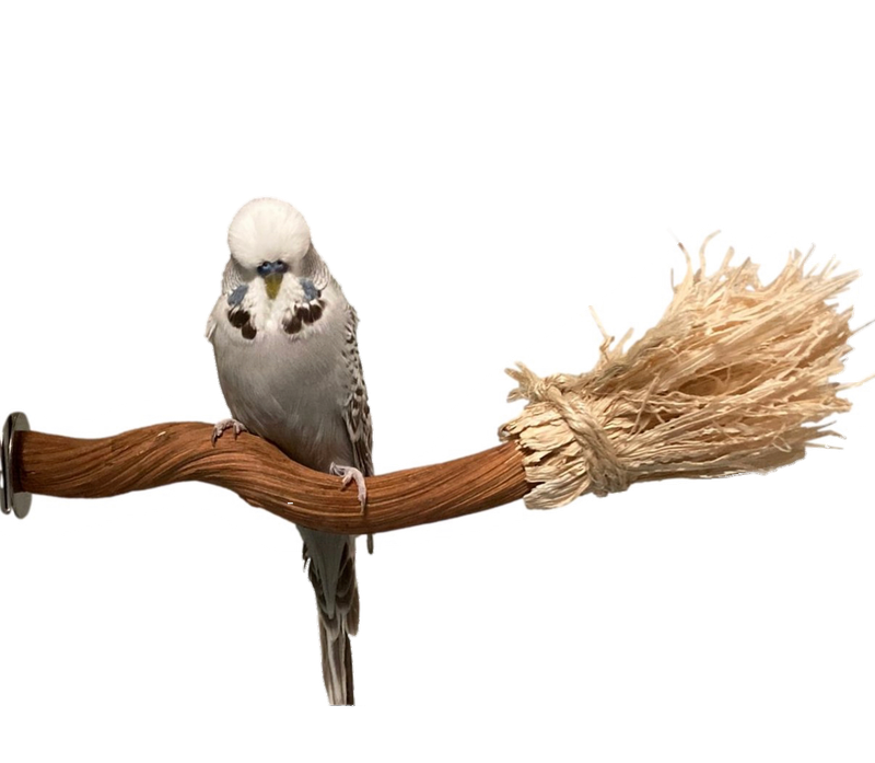 Weirdo's Zoom Broom 3000 Perch by Feathered Addictions