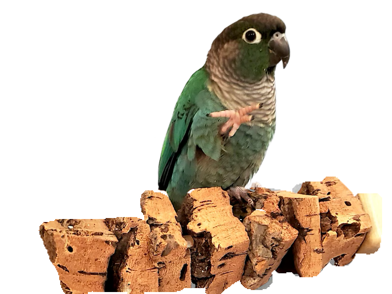 Refillable Cork Kabob Perch by Peter Piper Parrots