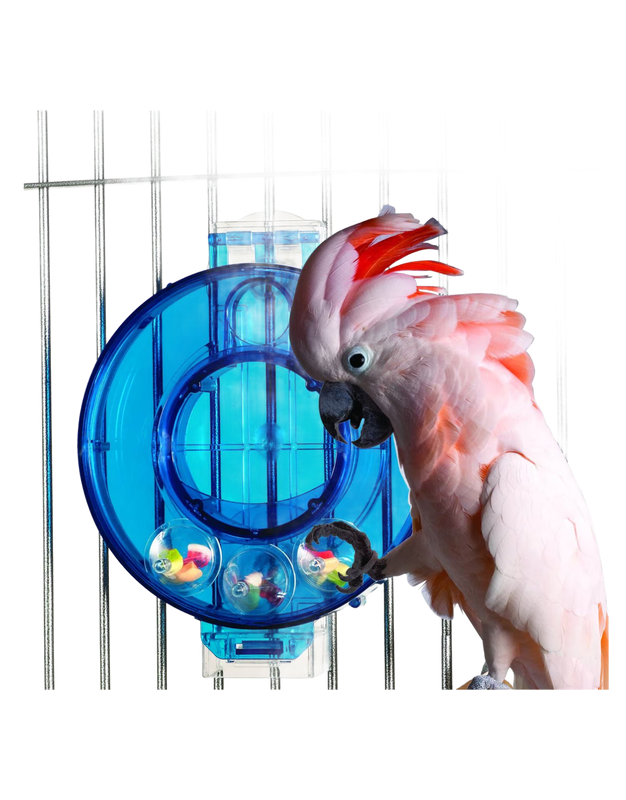 Mastermind Foraging Circle (7"x 8"x 3")