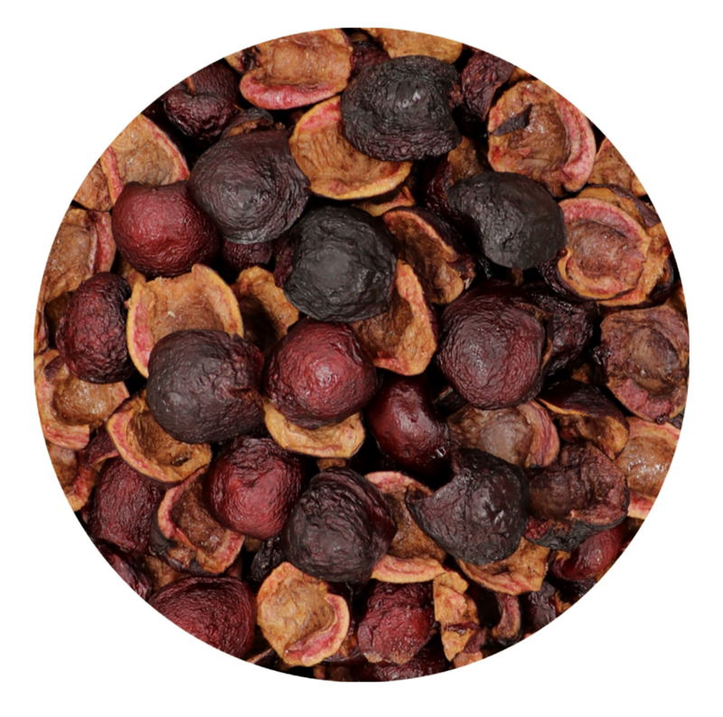 Freeze Dried Sweet Cherries for all Parrots by myParrotopia®