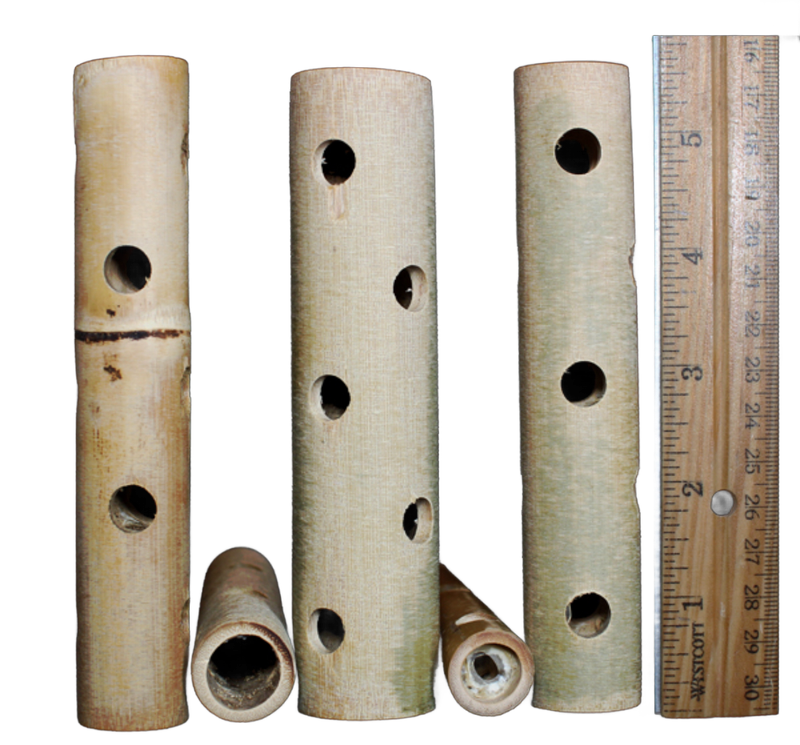 Bamboo Tube 3 Pack by Super Bird Creations