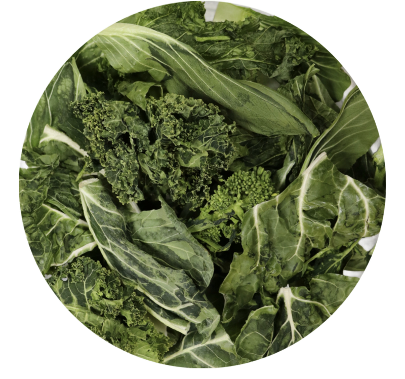 Freeze Dried Calcium Punch for all Parrots by myParrotopia®