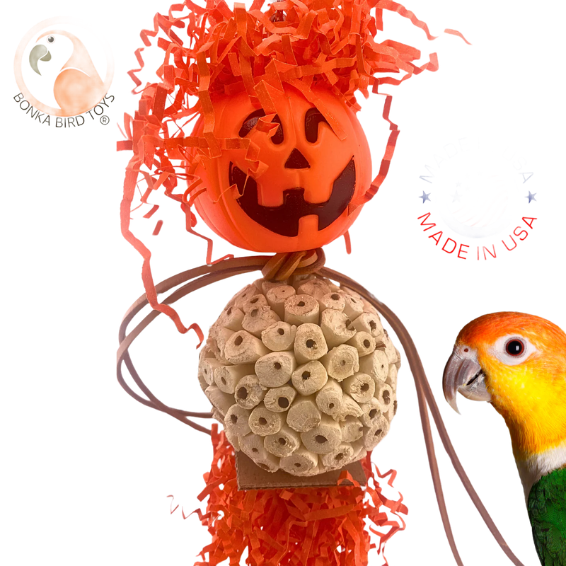 Halloween Pumpkin Bobble Head Toy by Bonka Bird Toys