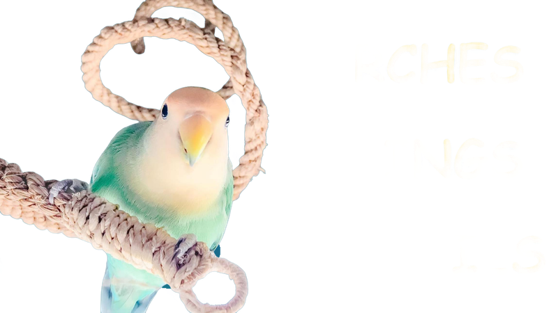 Heavy Natural Abaca Rope Boing Small by Planet Pleasures