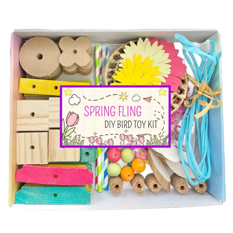 Spring Fling DYI by Pirate's Beak