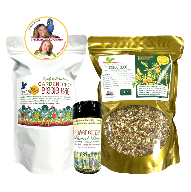 Good Things Come in 3's Combo by China Prairie and Parrotsrus