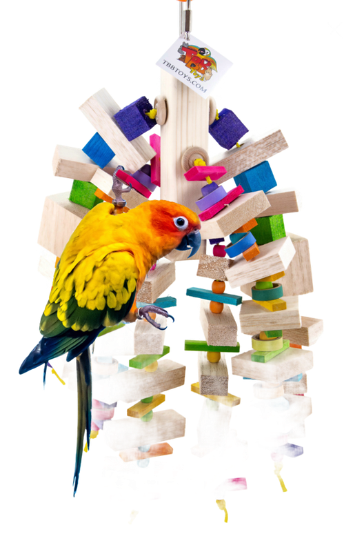 Ruby's Balsa Bonanza The Best Bird Toys
