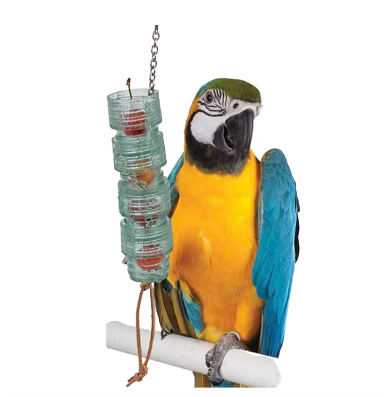 Turn N Learn Log Bird Toy by Featherland Paradise