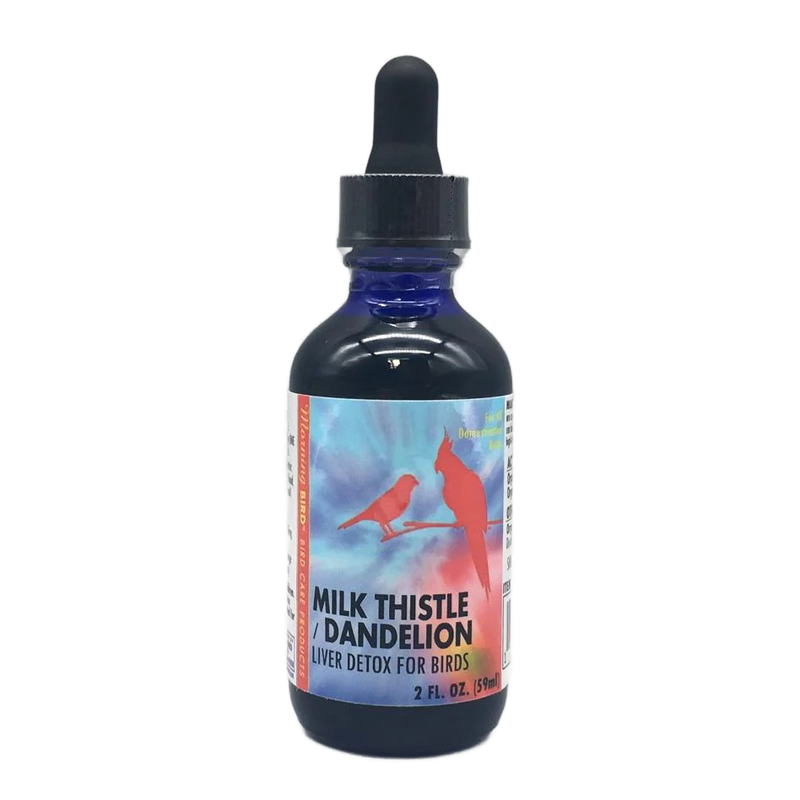 Milk Thistle / Dandelion Liver Detox for Birds by Morning Bird - 2 fl oz