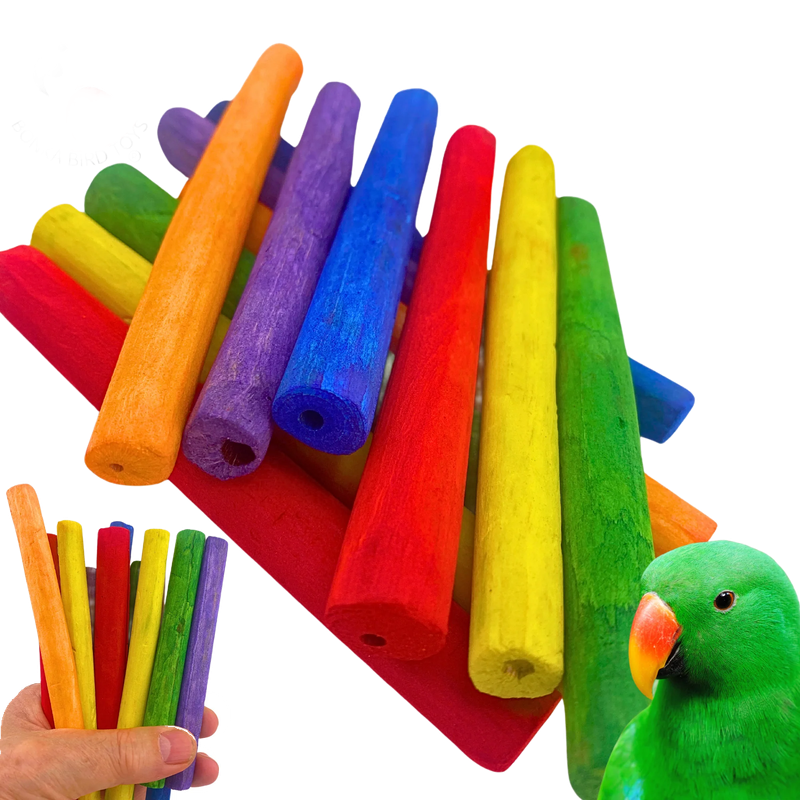 Color Thin Sola Sticks - 12 pack by Bonka Bird Toys